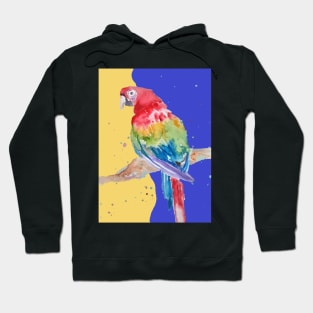 Parrot Watercolor Painting Macaw - Navy Blue Hoodie